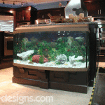 Fish aquarium in Little Rock, AR